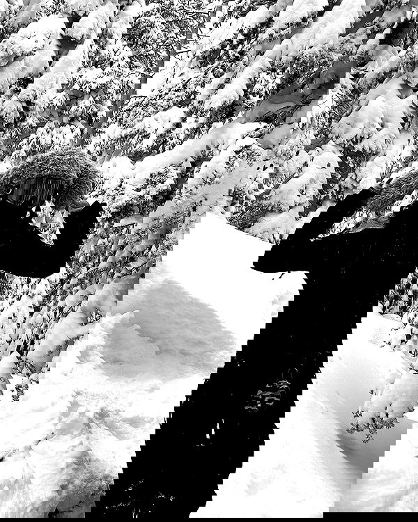 sedonaskyxo sedonaskyxo archive image