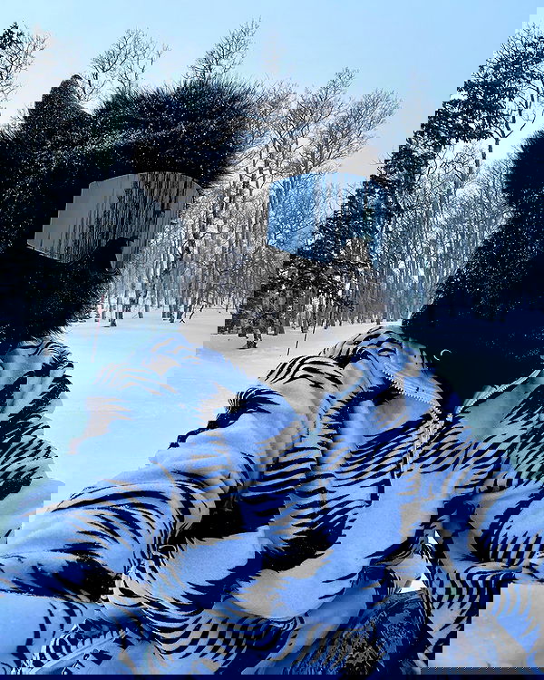 sedonaskyxo sedonaskyxo archive image