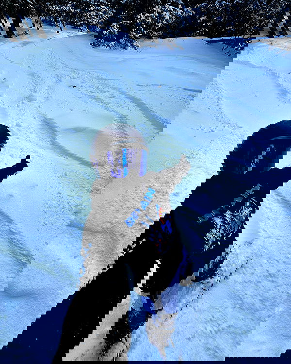 sedonaskyxo sedonaskyxo archive image