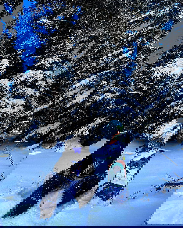 sedonaskyxo sedonaskyxo archive image