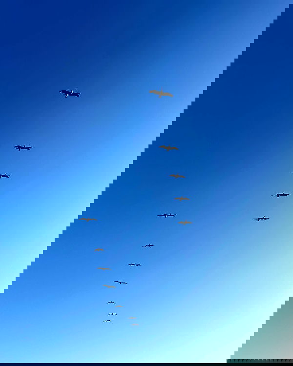 sedonaskyxo sedonaskyxo archive image