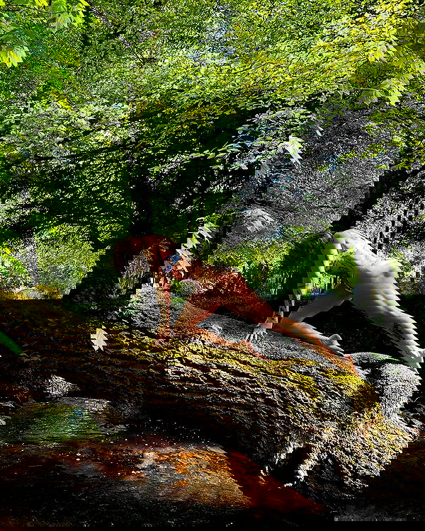 sedonaskyxo sedonaskyxo archive image