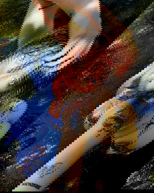 sedonaskyxo sedonaskyxo archive image