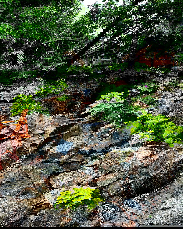 sedonaskyxo sedonaskyxo archive image