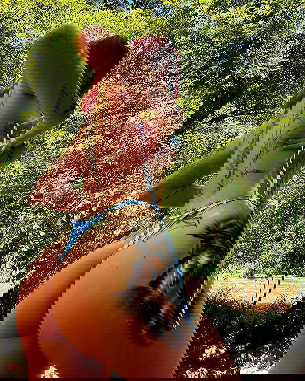 sedonaskyxo sedonaskyxo archive image