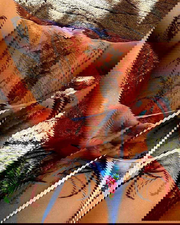 sedonaskyxo sedonaskyxo archive image