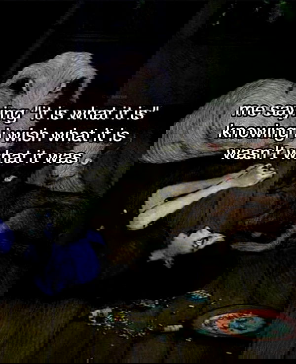 sedonaskyxo sedonaskyxo archive image