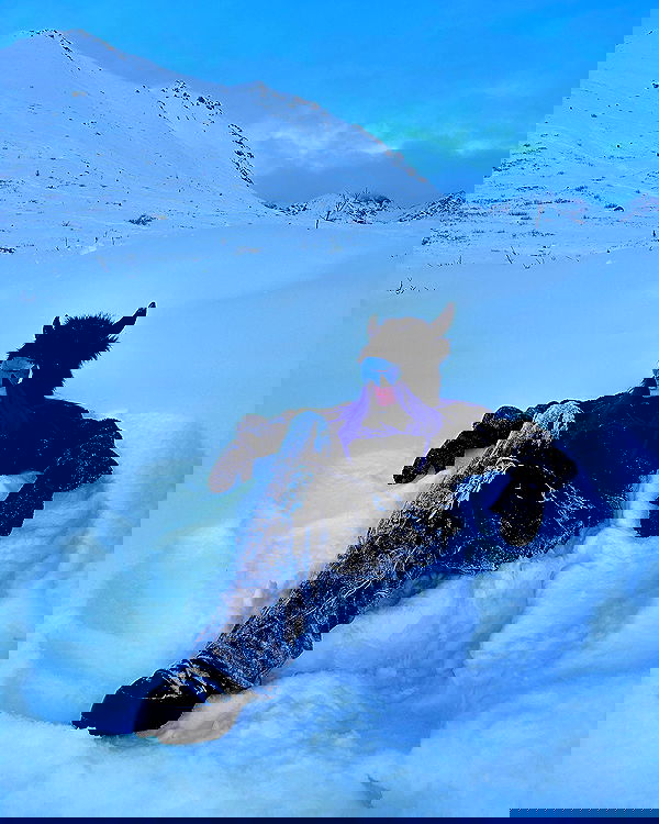 sedonaskyxo sedonaskyxo archive image