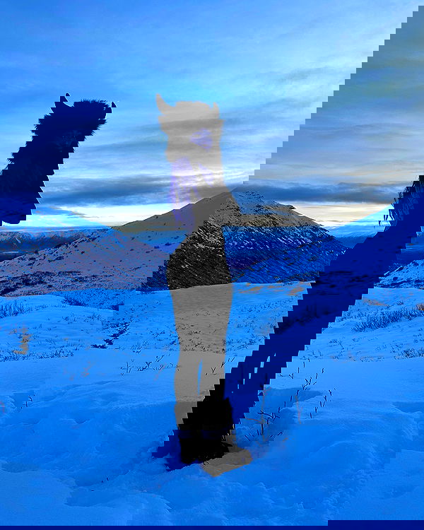 sedonaskyxo sedonaskyxo archive image