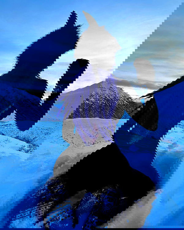 sedonaskyxo sedonaskyxo archive image