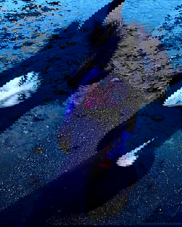 sedonaskyxo sedonaskyxo archive image