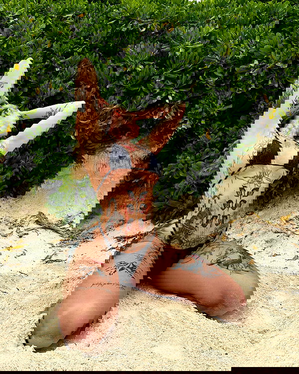 sedonaskyxo sedonaskyxo archive image