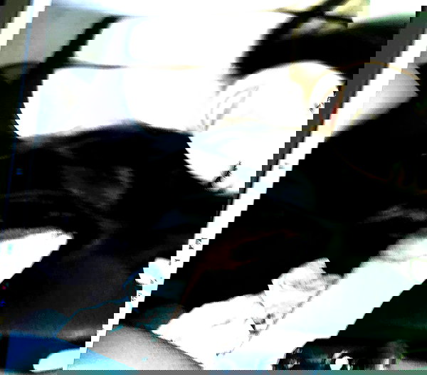 serenaasums serenaasums archive image