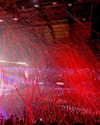 shailin_elisha Altpins Profile Picture