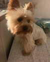 shailin_elisha Altpins Profile Picture