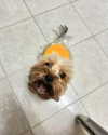 shailin_elisha Altpins Profile Picture