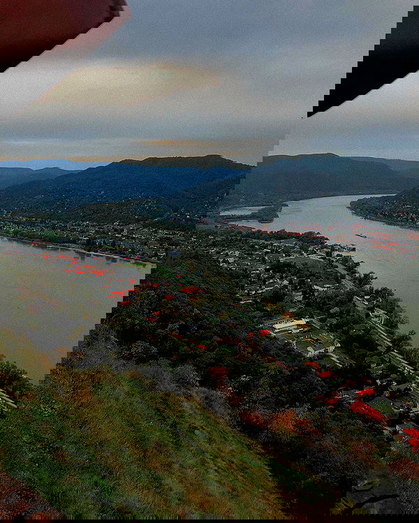 shanidahan7 image ~ Altpins