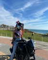 shanidahan7 Altpins Profile Picture