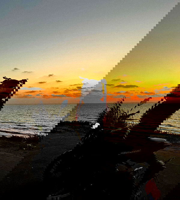 shanidahan7 image ~ Altpins