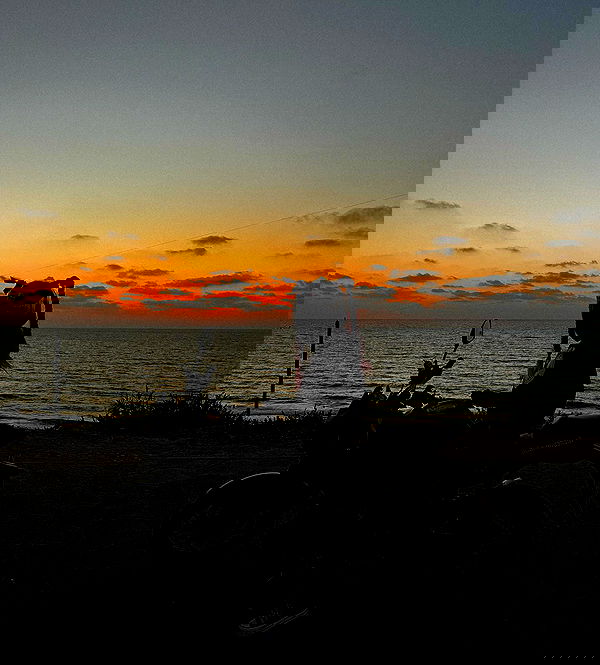 shanidahan7 image ~ Altpins