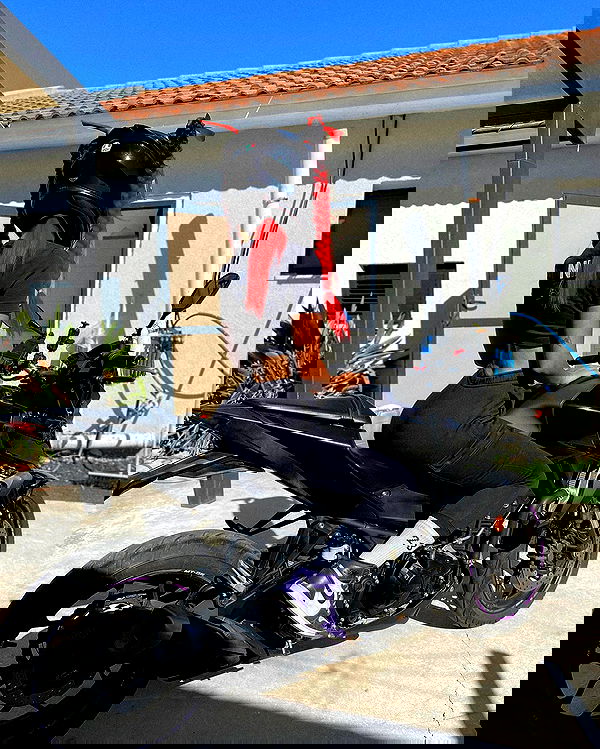 shanidahan7 image ~ Altpins