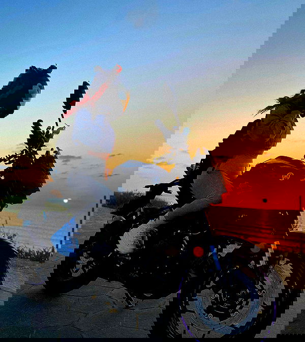 shanidahan7 image ~ Altpins