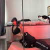 shawtysuzi Altpins Profile Picture