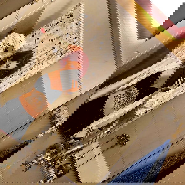 shayli_or shayli_or archive image