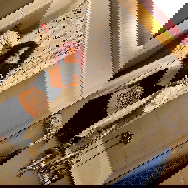 shayli_or shayli_or archive image