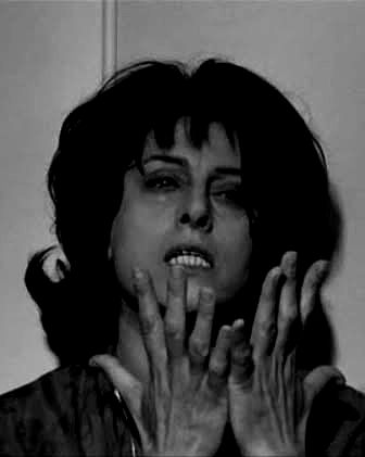 shayli_or shayli_or archive image