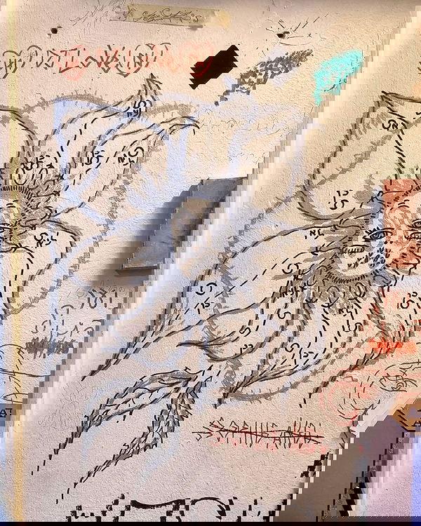 shayli_or shayli_or archive image