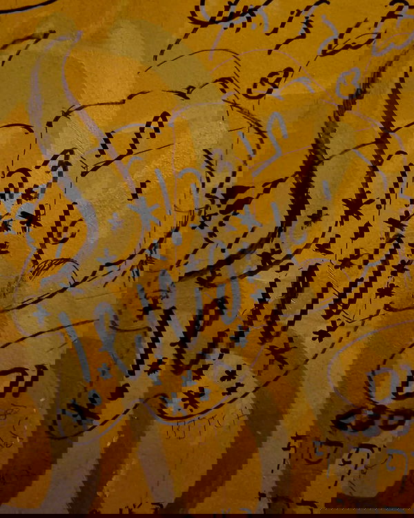 shayli_or shayli_or archive image