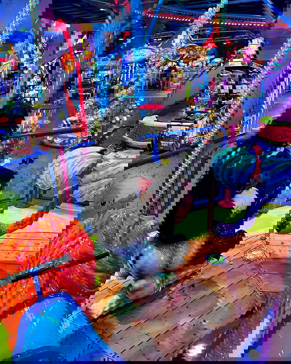 shayli_or shayli_or archive image