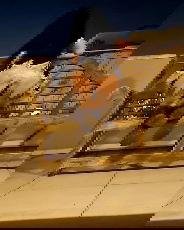 shayli_or shayli_or archive image