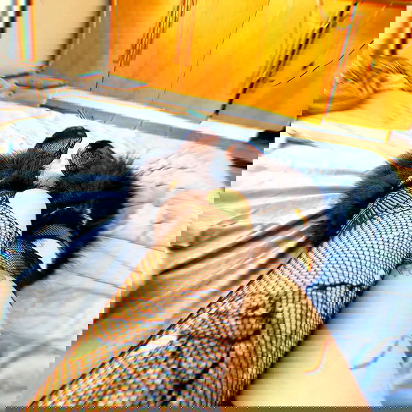 shayli_or shayli_or archive image