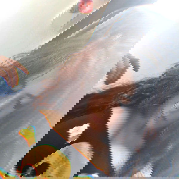 shayli_or shayli_or archive image