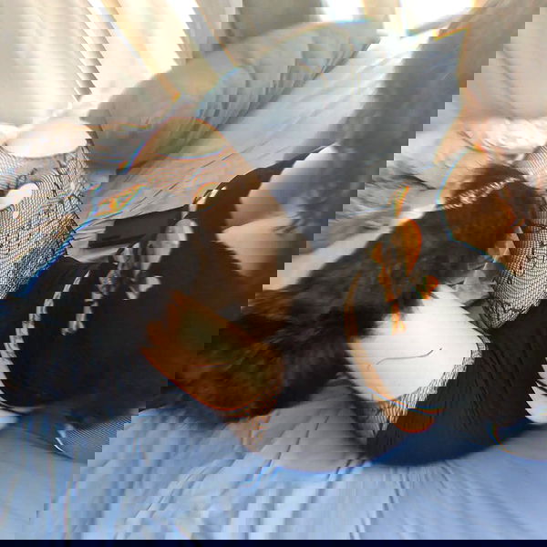 shayli_or shayli_or archive image