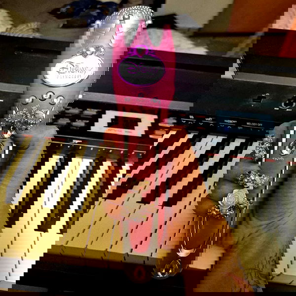 shayli_or shayli_or archive image