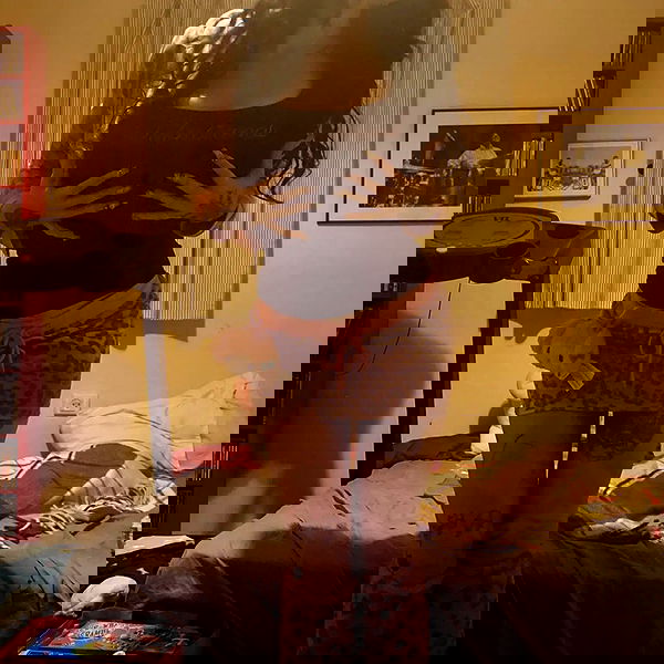 shayli_or shayli_or archive image