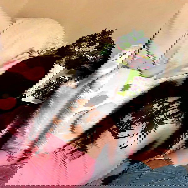 shayli_or shayli_or archive image