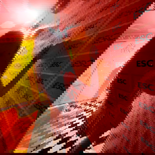 shayli_or shayli_or archive image