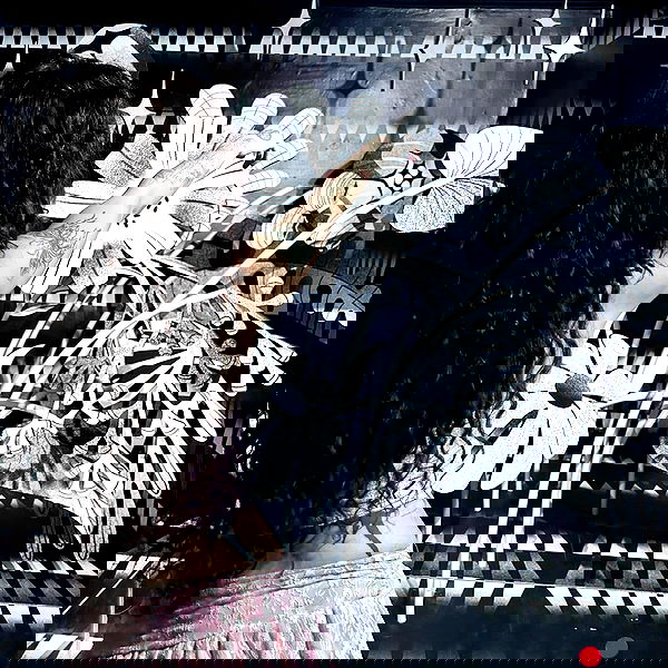 shayli_or shayli_or archive image