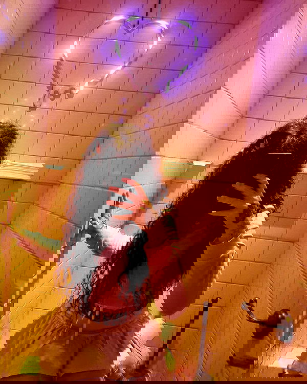 shayli_or shayli_or archive image