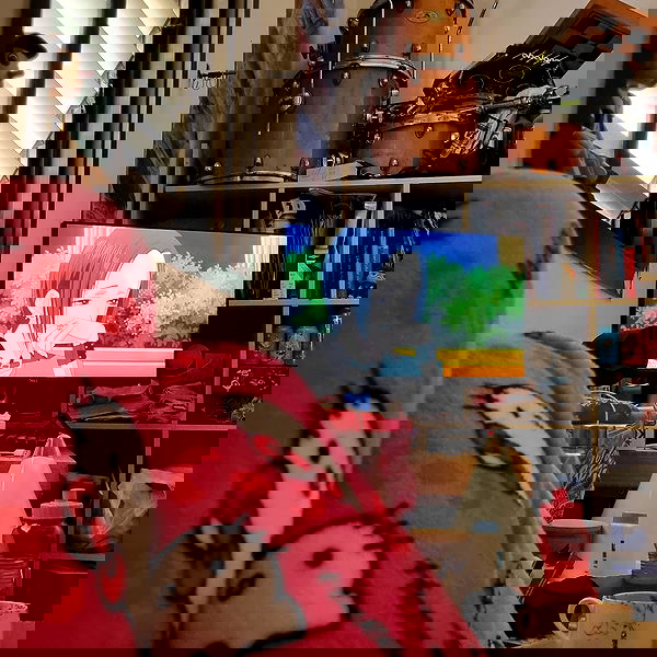 shayli_or shayli_or archive image