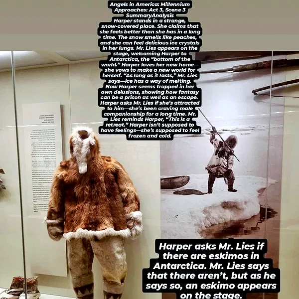 shayli_or shayli_or archive image