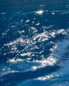 shellydekel Altpins Profile Picture