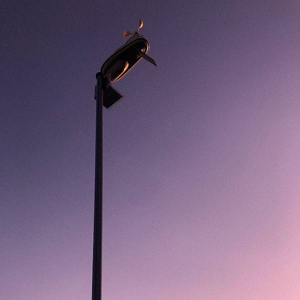 shibawri instagram image archive image