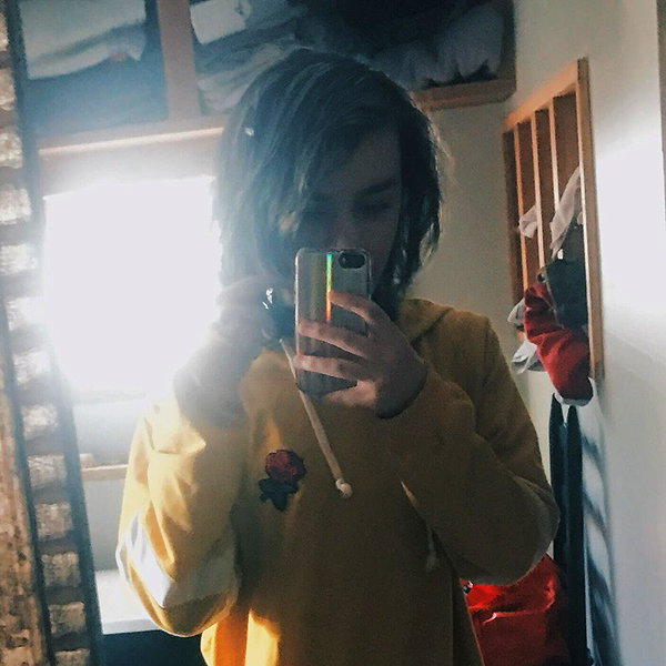 shibawri instagram image archive image
