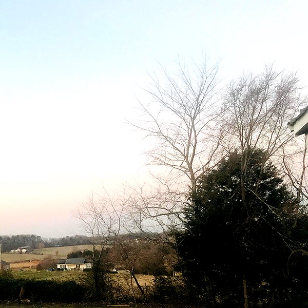 shibawri instagram image archive image