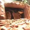 shibawri Altpins Profile Picture
